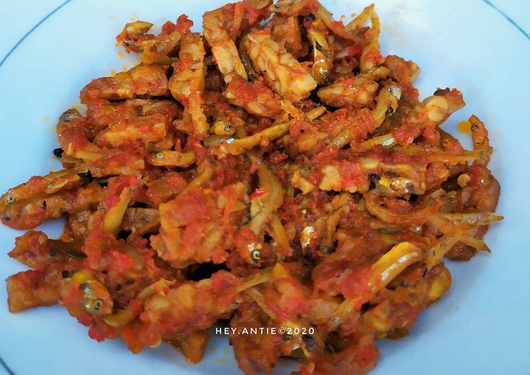 Balado Tempe Teri