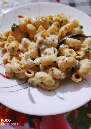 A picture of White Sauce Pasta.