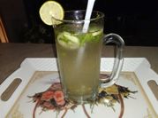 A picture of ice mint