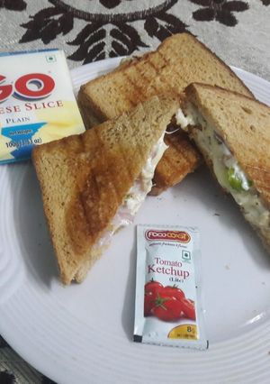 A picture of Veg Cheese Mayo Sandwich with leftover Salad.