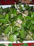 Ensalada de habas, berros y hojas de apio