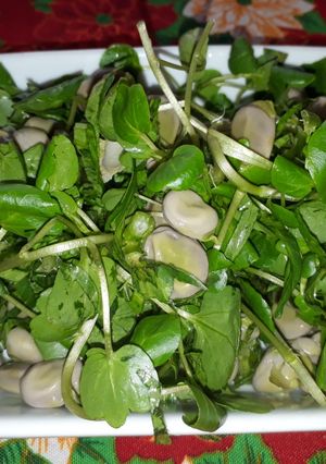 Una foto de Ensalada de habas, berros y hojas de apio