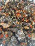 Paru Chili Paddy
