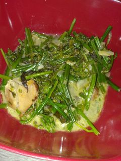 Foto resep Tumis santan sayur pakis