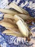 Grilled chicory