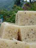 Puding lumut "pucat"