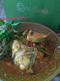 Foto resep Ikan senangin woku belanga