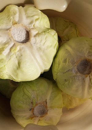 Fejes káposzta savanyítás recept fotója