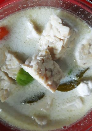 Foto resep Tempe Masak Santan