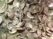 Una foto de salsa blanca para mariscos