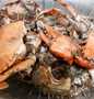 Langkah Gampang Menyiapkan Resep Kepiting Lada hitam yang Enak Banget Anti Ribet, Lezat