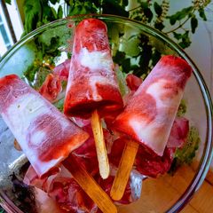 Plum Yogurt Ice Pops A picture of Plum Yogurt Ice Pops.