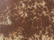 Uma foto de vinho tiramisu