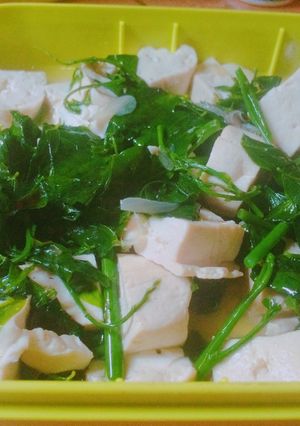 Foto resep Sayur katuk with tahu