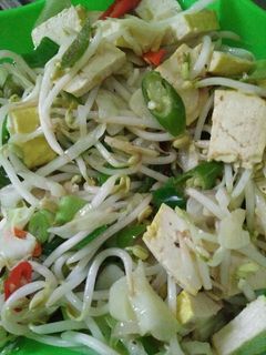 Foto resep Tumis toge tahu