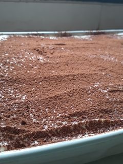 Una foto de Tiramisú fácil, rápido y rendidor!