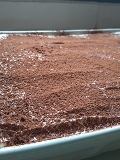 Una foto de Tiramisú fácil, rápido y rendidor!