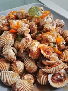 Foto resep Kerang Dara Saus Tiram