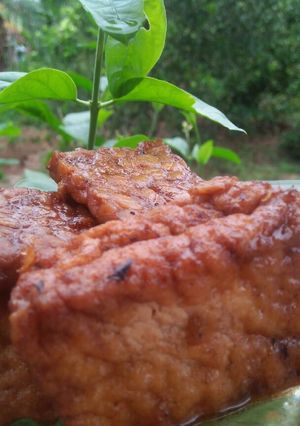 Foto resep Tahu tempe bacem