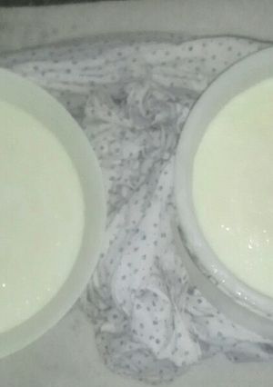 عکسی از دستور ماست محلی