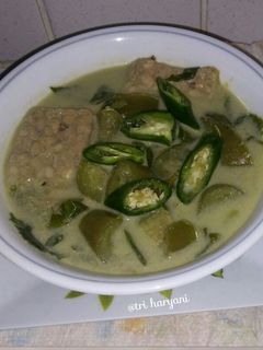 Foto resep Jangan Terong Lombok Ijo /Sayur Lodeh Terong