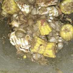 Seafood saus tiram রেসিপির প্রধান ছবি