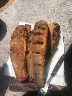 Sült friss hekk recept fotója