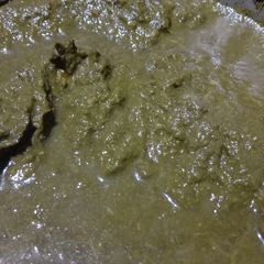 A picture of Sarso ka saag.