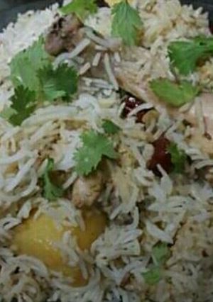 A picture of White Chicken Biryani.