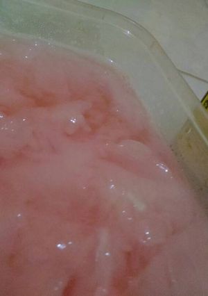 Foto resep Es Kopyor Nutrijell