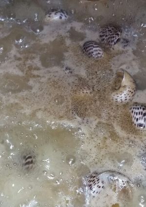 Foto resep Tumis kuah siput bintang ala mami lia