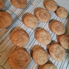 A picture of Snickerdoodles.