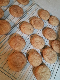 A picture of Snickerdoodles.