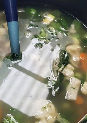 Una foto de Consomé de pollo al chile güero las Correas con epazote y verduras. Jalisco México