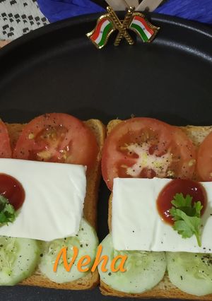A picture of Tricolor Healthy vegetable Sandwich.
