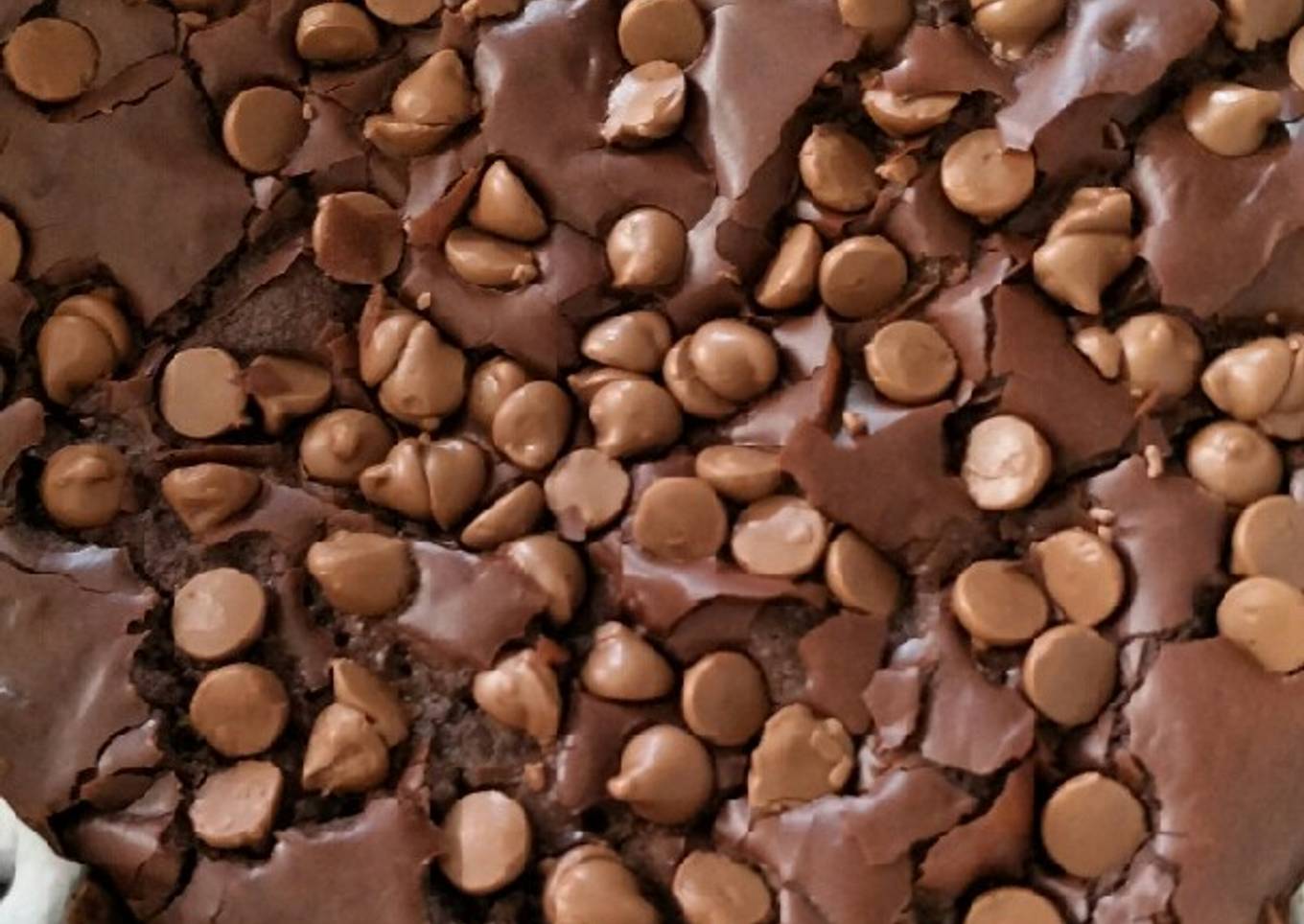Brownies Coklat Premium