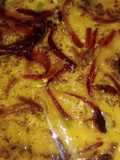 Khatti dal masoor