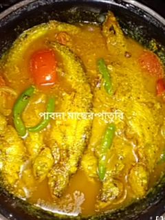 পাবদা মাছের পাতুরি (Pabda macher paturi recipe in Bengali) রেসিপির প্রধান ছবি