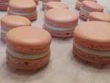french macarons