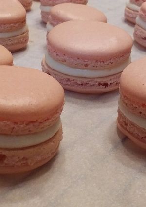 A picture of French Macarons.
