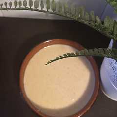 Una foto de Arroz con leche y lotus