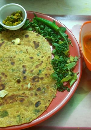 લીલી મેથી લસણ & મલ્ટીગ્રેઈન લોટ ના થેપલા (Lili Methi Lasan Multigrain Flour Thepla Recipe In Gujarat રેસીપી મુખ્ય ફોટો