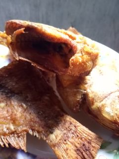 Foto resep Nila merah goreng garing