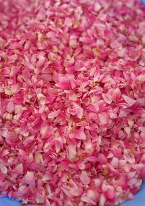 عکسی از دستور خشک کردن گل محمدی