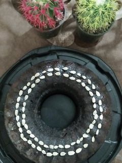 عکسی از دستور کیک خیس