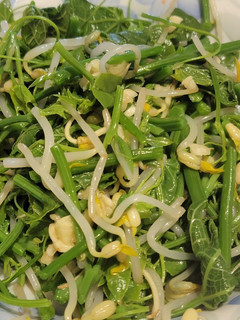 涼拌龍鬚豆芽菜 的食譜成品照片