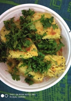 A picture of Healthy khichadi Dhokla.