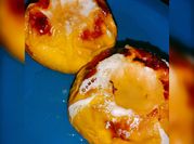 Una foto de manzanas asadas