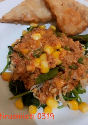 Foto resep Pecel sayur