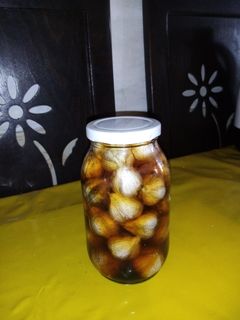 عکسی از دستور سیرترشی